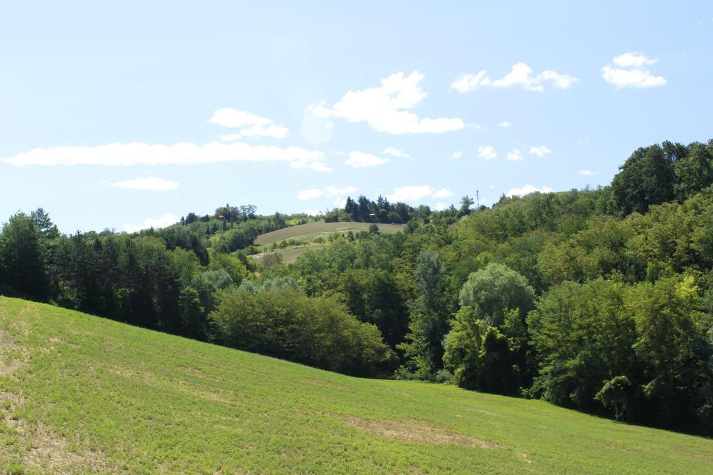 Вилла Agriturismo Casa Garello Саличе-Терме Экстерьер фото